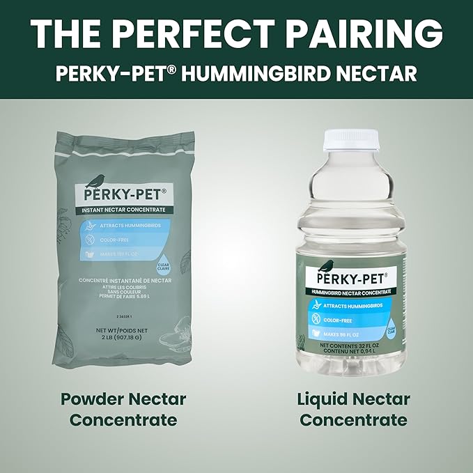 Perky-Pet 203CPBN Glass Hummingbird Feeder for Outdoors with Perches, Ant Moat, Bee Guards - Pack of 1