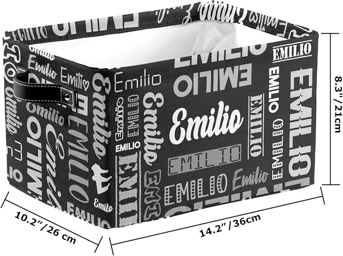 Personalized Toy Box Storage Bins for Boys Girls with Name, Kids Custom Storage Basket Cubes Organizer with Handles, Shelf Closet Storage Baskets Bin Customized Gift, 1 Pack