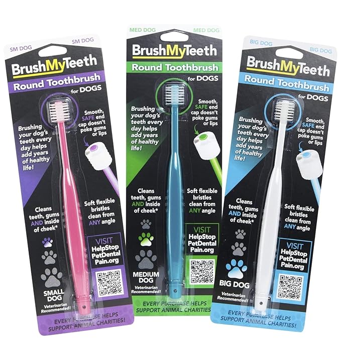 Brush My Teeth Medium Dog Toothbrush - Rounded Brush Head -Soft Flexible Bristles- for Safe and Gentle Brushing for Doggie, Any Medium Breed or Puppy, Daily Brushing Adds Years of Healthy Life