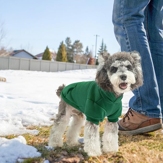 SCENEREAL Dog Hoodie Sweaters for Small Medium Large Size Dogs, Fleece Dog Sweatshirt with Hat and Pocket,Soft Cold Winter All Weather Dog Clothes for S to XL Sized Dogs, Green M
