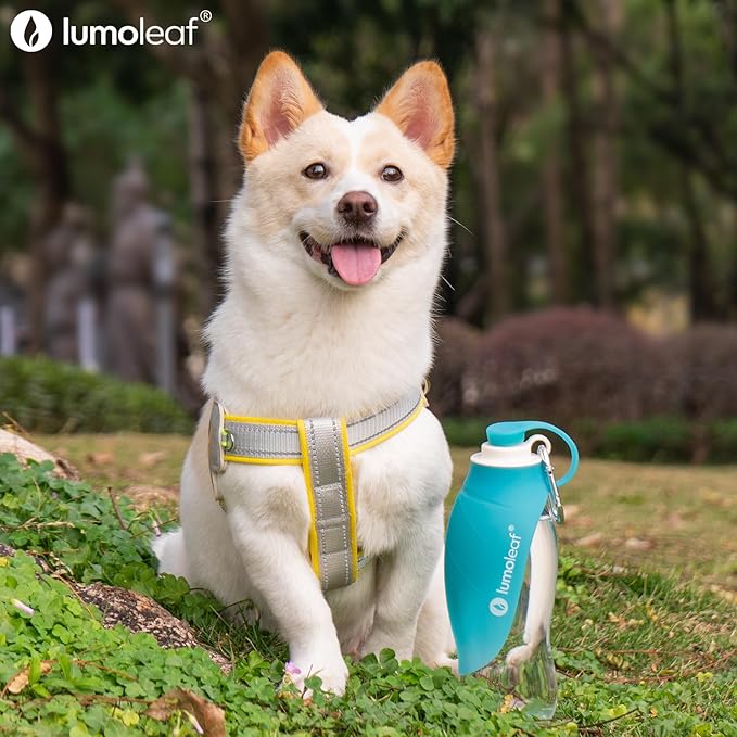 LumoLeaf Dog Water Bottle for Walking, Portable Pet Water Dispenser with Foldable Leaf Bowl โ Lightweight Travel Bottle for Small & Medium Dogs, 20 fl oz