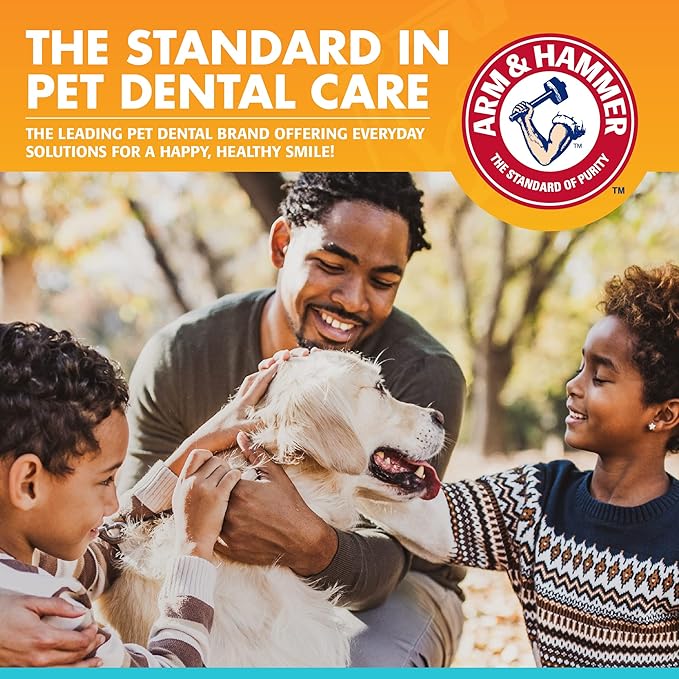 Arm & Hammer for Pets Dog Oral Care Spray, Mint Flavor Breath Freshener & Teeth Cleaning, Baking Soda Enhanced Plaque & Tartar Support, Easy Brushless Dental Care for Adult Dogs, 4 Fl Oz - 24 Pack