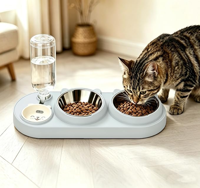 Marchul 3 in 1 Cat Bowl, Cat Food and Water Bowl Set with Water Dispenser and Stainless Steel Bowls, 15ยฐ Tilted Pet Raised Three Bowls for Indoor Cats, Small or Medium Sized Dogs