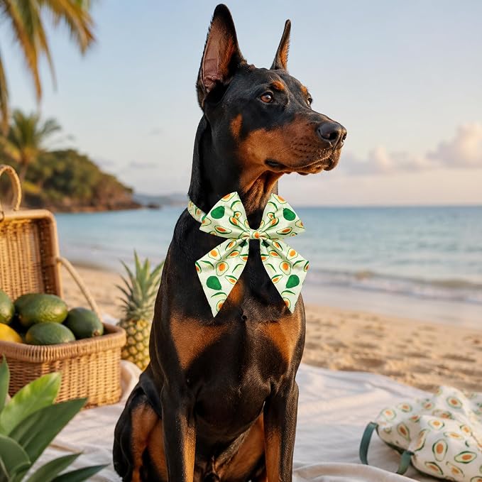 PET SHOW 10 Pack Fruit Sailor Dog Bowties for Large Dogs