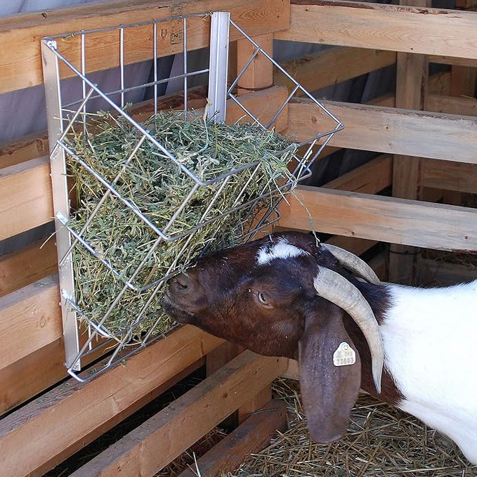 Rugged Ranch SGGBF Wall Mounted Rustproof Galvanized Steel Sheep, Goat, Horse, Rabbit, Guinea Pig, and Cow Livestock Hay Feeder Rack, Silver (2 Pack)