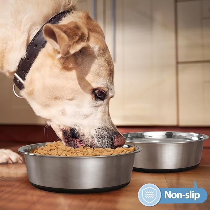 WROSWT Stainless Steel Dog Bowls Set of 2, Anti Rust Metal & Non Slip Rubber Base, Heavy Duty Large Feeding Dishes, Food Grade BPA Free, Food and Water Bowl for Small Dogs (30oz, 3.8cup)