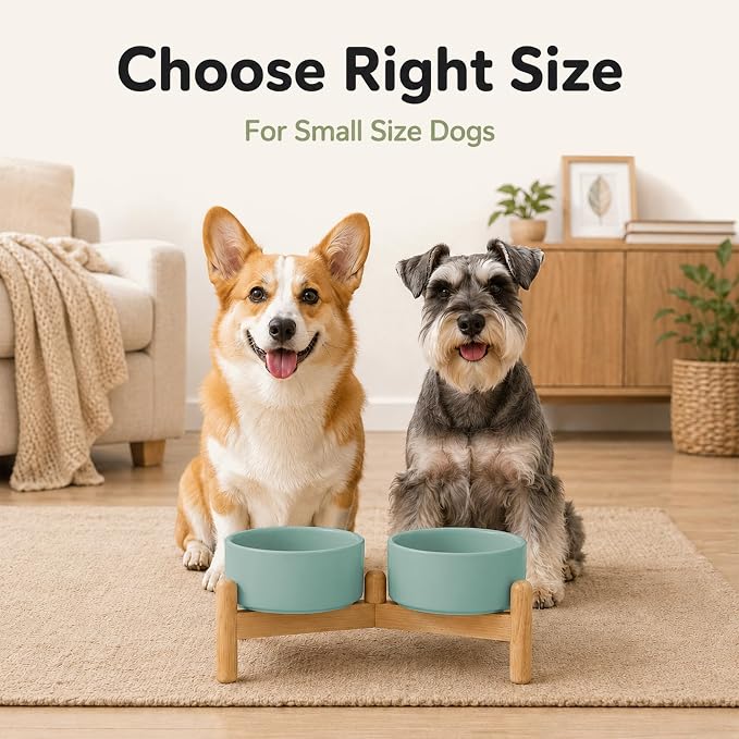 Havniva Ceramic Dog Bowls Elevated, Raised Dog Food Bowl for Small Dogs | 6.1” Elevated Dog Bowls, Non-Slip Wood Stand, Dog Food and Water Bowl Set, Dog Feeding Dish, Large Capacity Pet Water Bowl