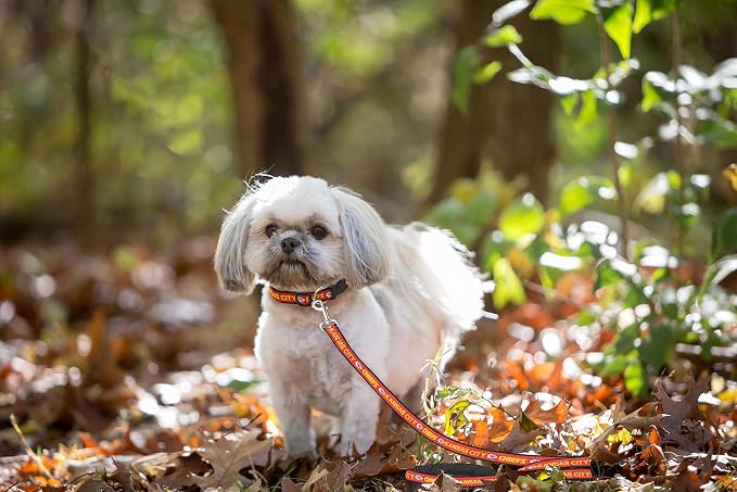 Pets First NFL Licensed Kansas City Chiefs Pet Leash, Size Medium – Durable Satin Dog & Cat Walking Strap and Pet Tether with Embroidered Team Name & Logo