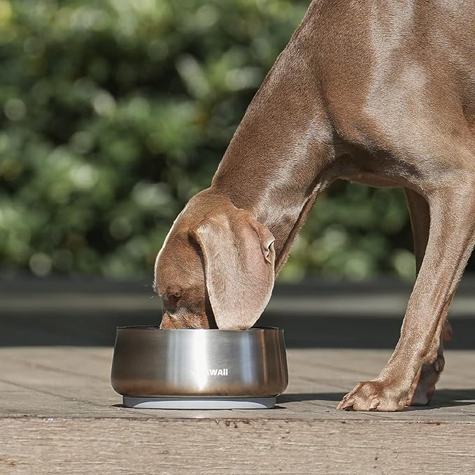 Pawaii Dog Bowl, 68 oz Double-Wall Stainless Steel Food and Water Bowl, Non-Slip Rubber Base, Dishwasher Safe, ID Tag Included, (1 Pack)
