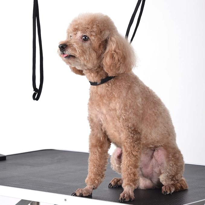 Pet Dog Grooming Table, Adjustable Large Heavy Duty Professional Foldable Trimming Stage with Arms, Noose, Mesh Tray, Maximum Capacity Up to 330LBS, 42''/Black