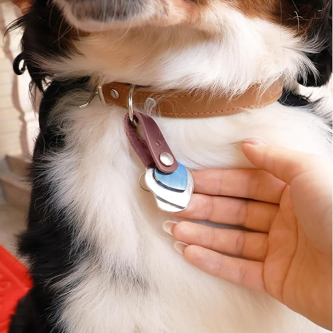 Pet ID Tag Silencer - Dog & Cat Collar Leather Connector | Holder Up to 4 Dog Tags(Red)