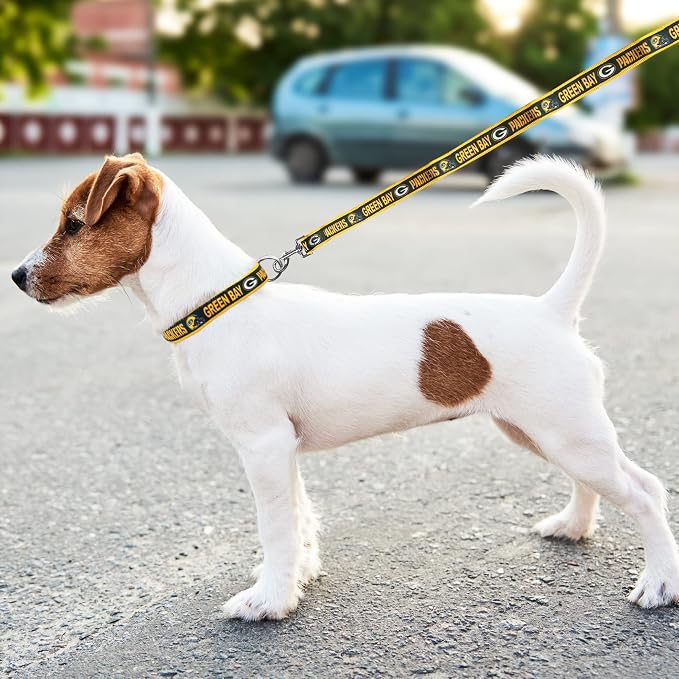 NFL PET Leash Green Bay Packers Dog Leash, Large Football Team Leash for Dogs & Cats. A Shiny & Colorful Cat Leash & Dog Leash Licensed by The NFL