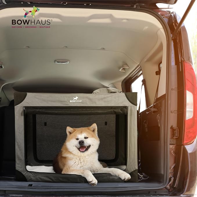 BOWHAUS 42 Inch Portable Travel Dog Kennel for Large Dogs with Durable Mesh Windows and 2 Storage Pockets, Indoor & Outdoor for Car, Soft-Sided Collapsible Dog Crate with 4 Breathable Mesh Door
