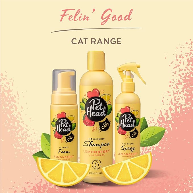 Pet Head Felin' Good Cat No Rinse Foam | Fruity Scent with Aloe Vera | Dry Cat Shampoo for Smelly Cats | Vegan | Lick-Safe | Gentle Formula for Kittens | Made in USA | 6.7 fl. oz.