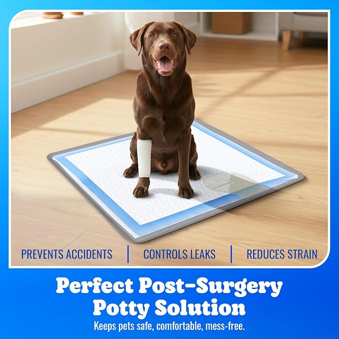 Dog Pee Pad Holder - Fits Up to 24” x 24” Pee Pad - 1 Pack - Dark Grey | Stable Grip, Raised Edges, Quick-Wipe Silicone Surface Dog Potty Tray Holder for Indoor Flooring Protection