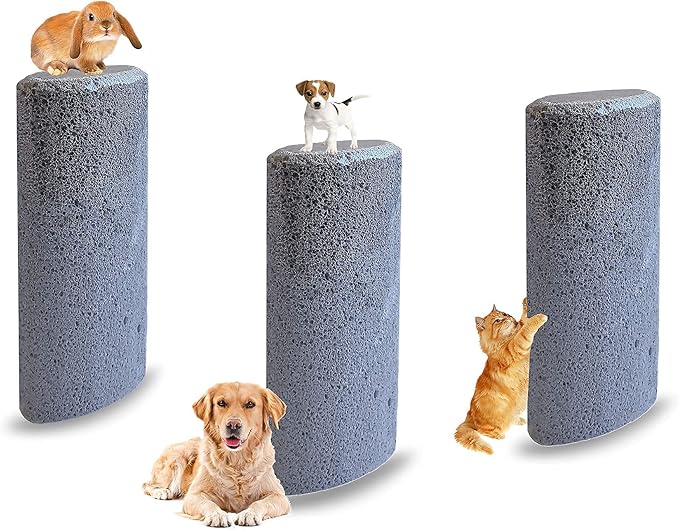 Pet Hair Remover Brush Clean Cat Dog Hair Remove Pumice Stone from Carpet Bedding car Clothing,3 Pack