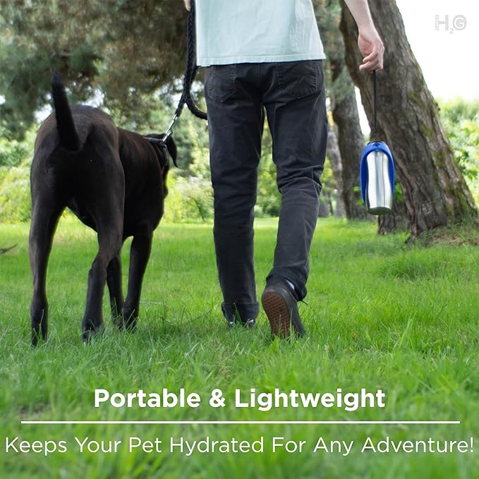 Portable Dog Water Bottle, 24 oz, Stainless Steel, Convenient Pet Water Dispenser, Collapsible Travel Bowl, Walking, Hiking, and Outdoor Activity, Compatible with Various Pets, Houd2Go (Green, 24oz)