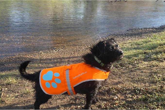 Blaze Orange Dog Vest. Reflective High Visibility in Hunting & Wooded Areas