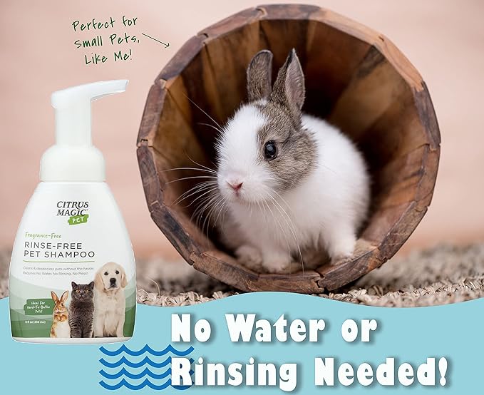 Citrus Magic Pet Rinse-Free Pet Shampoo, 8-Fluid Ounce, Pack of 2