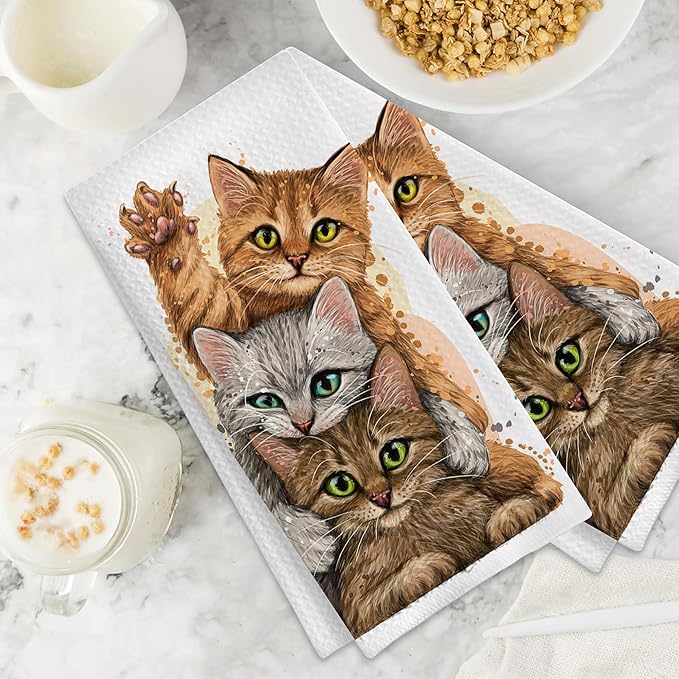 Cute Kittens Cat Hand Towels,Set of 2 Absorbent Bath Towel Kitchen Dish Towel Home Gym Hotel Bathroom Decor,16x24 Inches