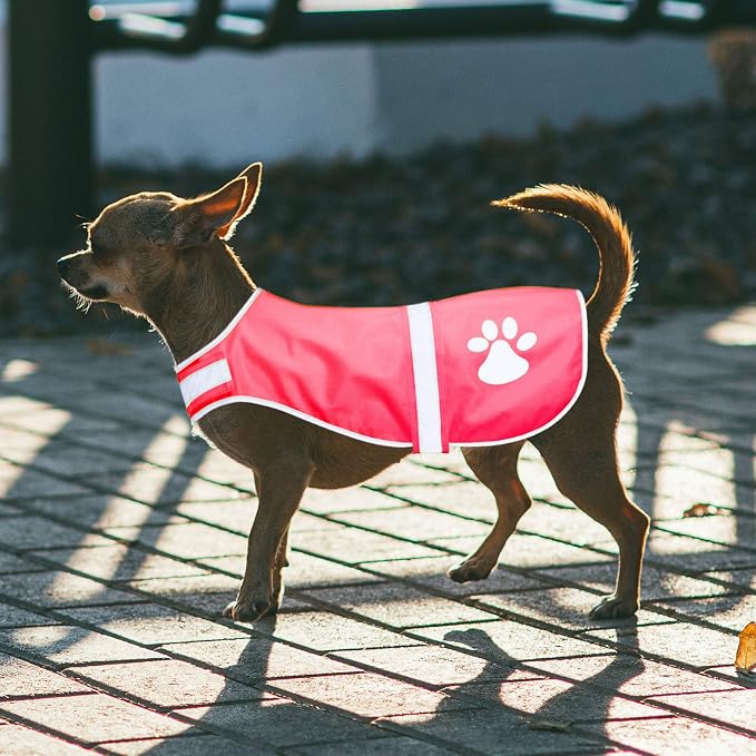 Geyoga 2 Pcs Reflective Dog Vest Adjustable Safety Vest,L,Pink, Blue | Pet High Visibility Apparel, Blaze Fluorescent, Dog Service Jacket Clothes Safeguard, for Hunting Outdoor Walking Night