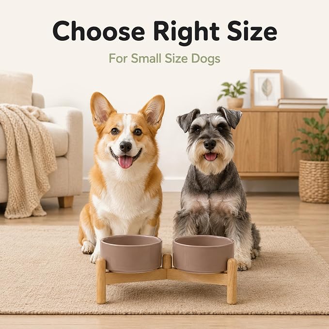 Havniva Ceramic Dog Bowls Elevated, Raised Dog Food Bowl for Small Dogs | 6.1” Elevated Dog Bowls, Non-Slip Wood Stand, Dog Food and Water Bowl Set, Dog Feeding Dish, Large Capacity Pet Water Bowl