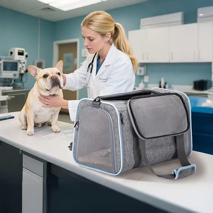 Petsfit Large Expandable Cat Carrier for Travel, Up to 18 lb | 19 x 12 x 12 in; roomy expandable space with a reinforced frame, locking zippers, interior safety tether and large pocket.
