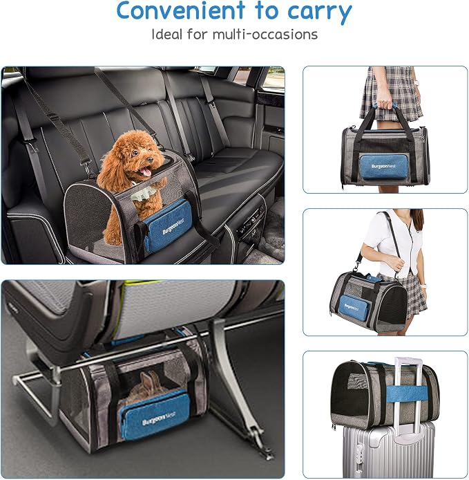 BurgeonNest Cat Carrier for Cats up to 20 Lbs, Soft-Sided Escape Proof | Top Load Pet Crate for Medium to Big Kitten Small Puppy Transport with Unique Side Bag, Home Outdoor Car Travel, Medium Blue