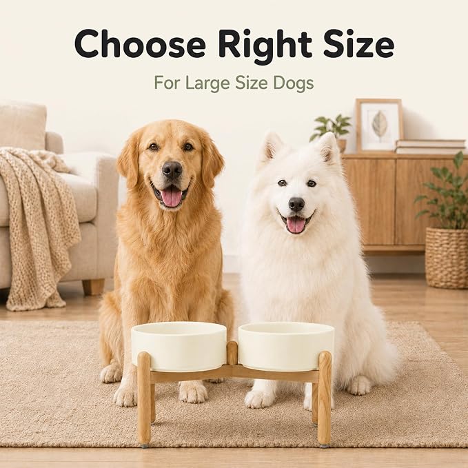 Havniva Ceramic Dog Bowls Elevated, Raised Dog Food Bowl for Large Dogs | 8.3” Elevated Dog Bowls, Non-Slip Wood Stand, Dog Food and Water Bowl Set, Dog Feeding Dish, Large Capacity Pet Water Bowl