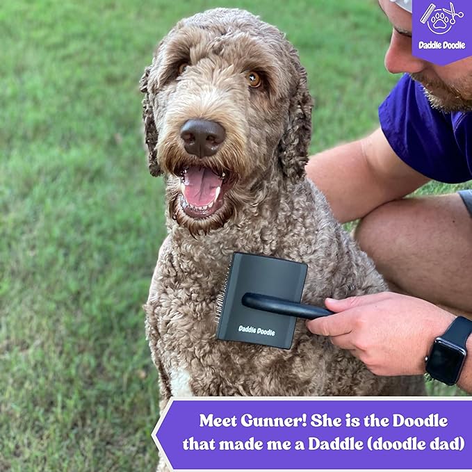 Dog Slicker Brush - Grooming Designed for All Poodles and Doodle Mixes – Fluff, Style, Detangle, and Demat – Ergonomic Handle Design – Angled Brush Pins that are Safe and Effective