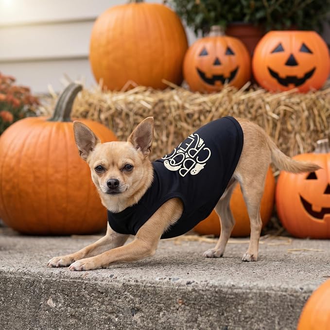 Fitwarm Boo Crew Halloween Dog Shirt, Spooky Costumes for Small Dogs Boy Girl, Funny Pet Outfit, Black, White, XL