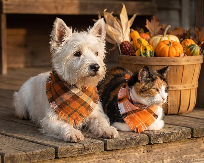 Fall Dog Bandanas 2PCS Small Orange Plaid Pet Scarf Tassels | Fall plaid dog bandanas with tassels,perfect for Halloween,Thanksgiving parties,photo shoots.Fits small dogs & cats.
