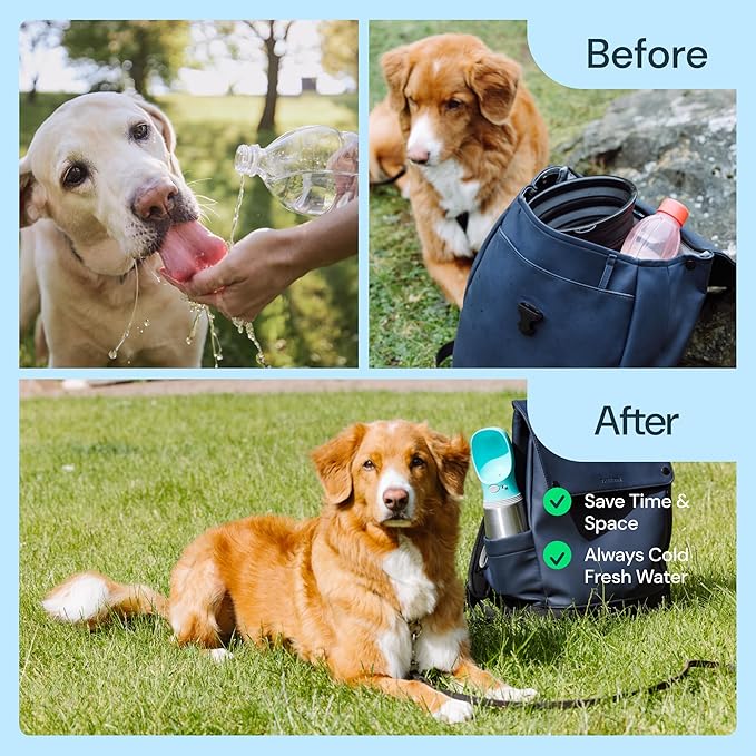 MalsiPree Leak Proof Stainless Steel Portable Dog Water Bottle - 24 oz, Blue Water Dispenser for Pets - Outdoor Dog Travel Water Bottle -