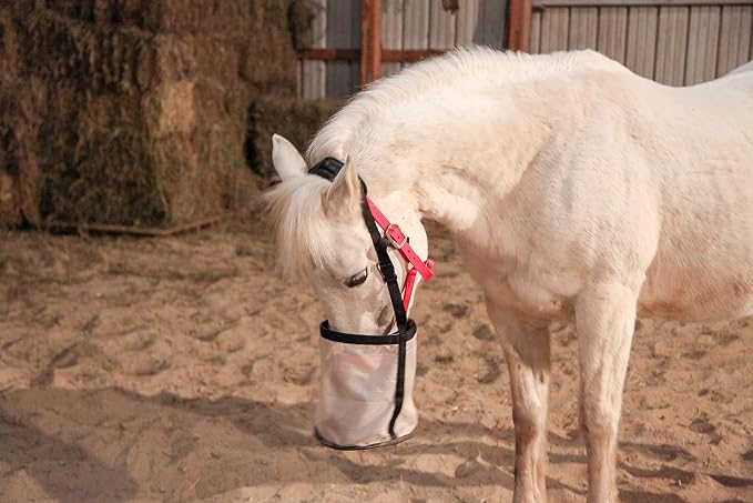 Majestic Ally Horse Feed Bag, Heavy Duty Nylon Mesh Grain Feed Bag, Adjustable Strap with Durable Snap and Elastic Straps, Comfort Neck Pad and Nose Pad- Large (Pony, Dark Gray)