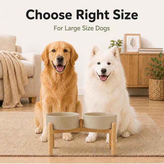 Havniva Ceramic Dog Bowls Elevated, Raised Dog Food Bowl for Small Dogs | 8.3” Elevated Dog Bowls, Non-Slip Wood Stand, Dog Food and Water Bowl Set, Dog Feeding Dish, Large Capacity Pet Water Bowl