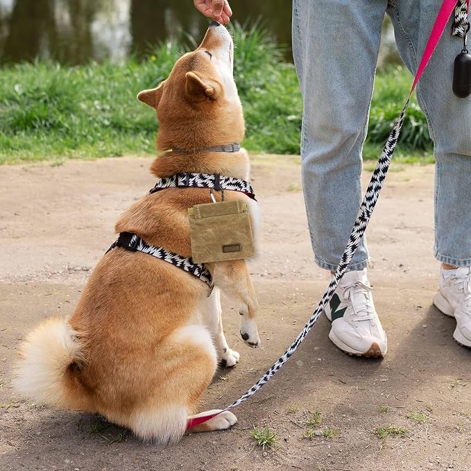 Dog Treat Pouch, Portable Auto Closing Dog Training Treat Bag with Carabiner, Hands Free Pocket Sized Snack Reward Pouch for Puppy Walking Travel Outdoor Use, Brown