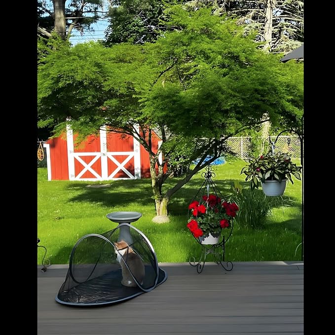 Cat Tent Outdoor, Pet Enclosure Tent Suitable for Cats and Small Animals, Indoor Playpen Portable Exercise Tent with Carry Bag(Orange) | Pop Up Catio, Waterproof PE Base, Anti-Bug Mesh, Firm Steel Rods, Kitten Small Animal Travel Yard Gear, Carry Bag