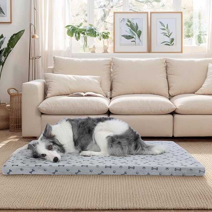 Fancy Dog Bed Mat Cute Dog Crate Pad, Reversible & Machine Washable, Small to XXX-Large Dogs,Bones, Cat Claws (Grey, Large(36x24in))