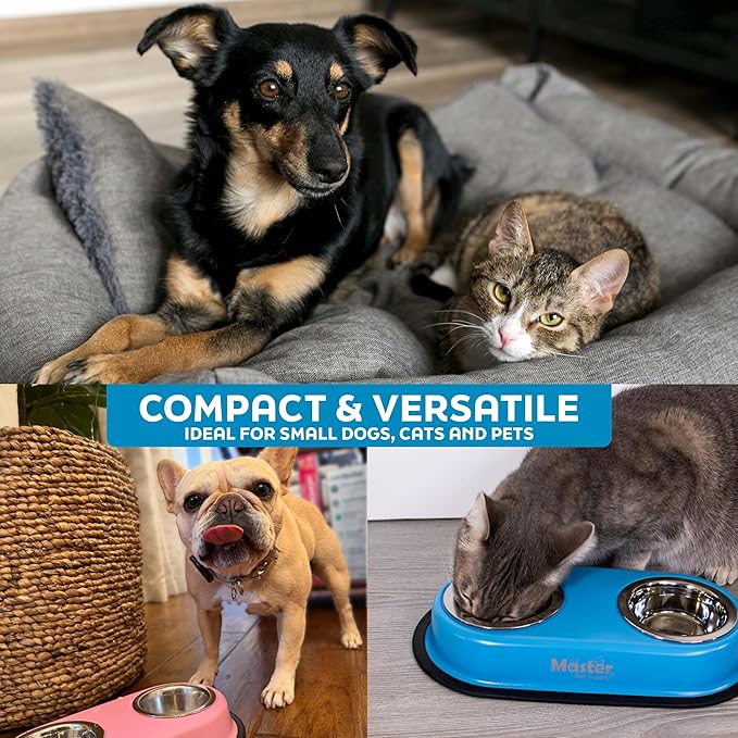 Master Pet Supply Double Dog Bowls Set with Elevated Base and 2 (8 oz) Stainless Steel Removable Dishes (Mango Tango) – Double Cat Food Water Bowl, Dog Puppy Food Bowl Set, Rust Resistant