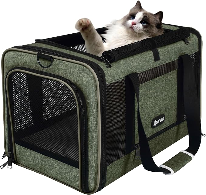 GAPZER Medium Cat Carrier Bag Lightweight, Soft-Sided Small Pet Carry Crate | 18 x 11 x 11 Light Weight Yorkie Kennel up to 15 lbs for Indoor House, Top Entry Bunny Canvas Bag Vet Visit Easy Clean Olive