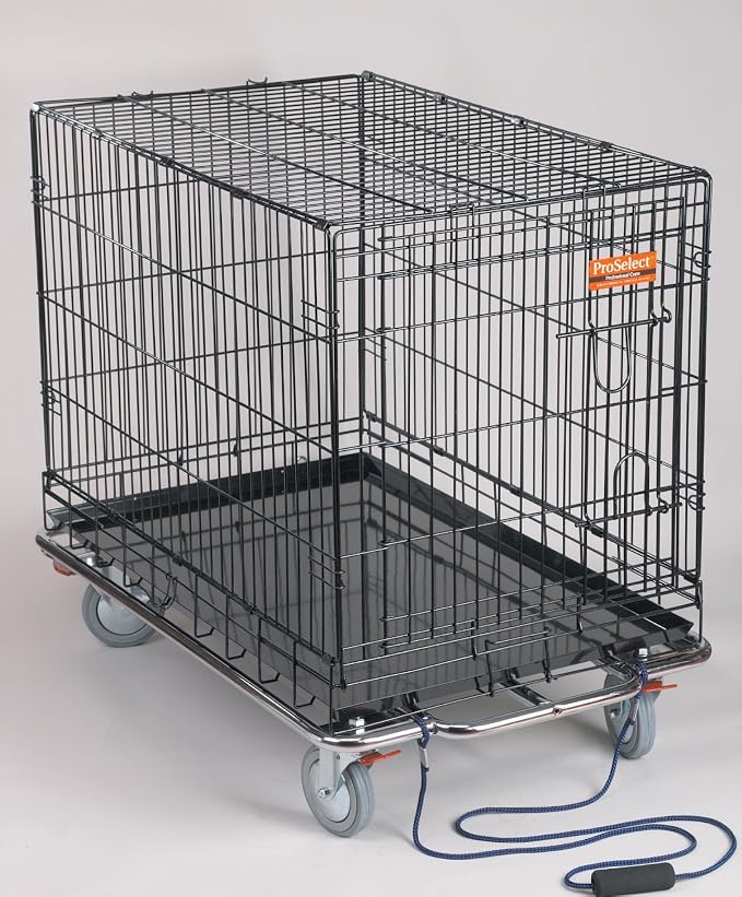 ProSelect Kennel Karts — Heavy-Duty Steel Chrome Carts with Wheels Designed to Move Kennel Cages Around Grooming Shops, Animal Clinics, Shelters, or Rescues