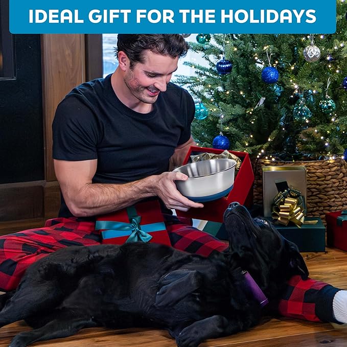 Master Pet Supply Stainless Steel Dog Bowls Set of 2 with Extra Thick Silicone Base - 2 Cup (16 oz) Navy Blue, Non-Slip, Dishwasher Safe Metal Bowls, Pet Dog Food Bowl for Dogs, Cats, Anti Rust