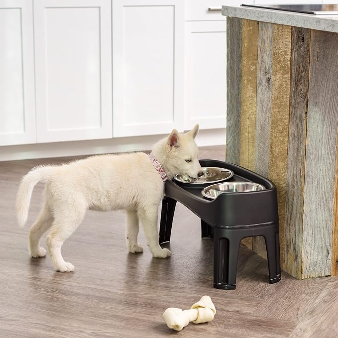 IRIS USA Elevated Dog Bowls, Dual Height 4.63" or 12.25" Made in USA, Black | Includes 2 Stainless Steel Bowls (64oz), Spill Guard, Height Adjustable, Non-Slip Feeder, Helps Reduce Neck Strain