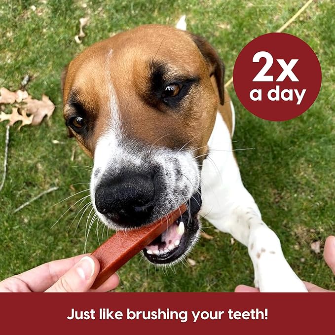 Ark Naturals Protection+ Brushless Toothpaste – Large Breeds, 54oz Bag – Dog Dental Chew with Toothpaste Center – Prevent Plaque & Tartar and Freshen Breath with Dental Chews for Dogs