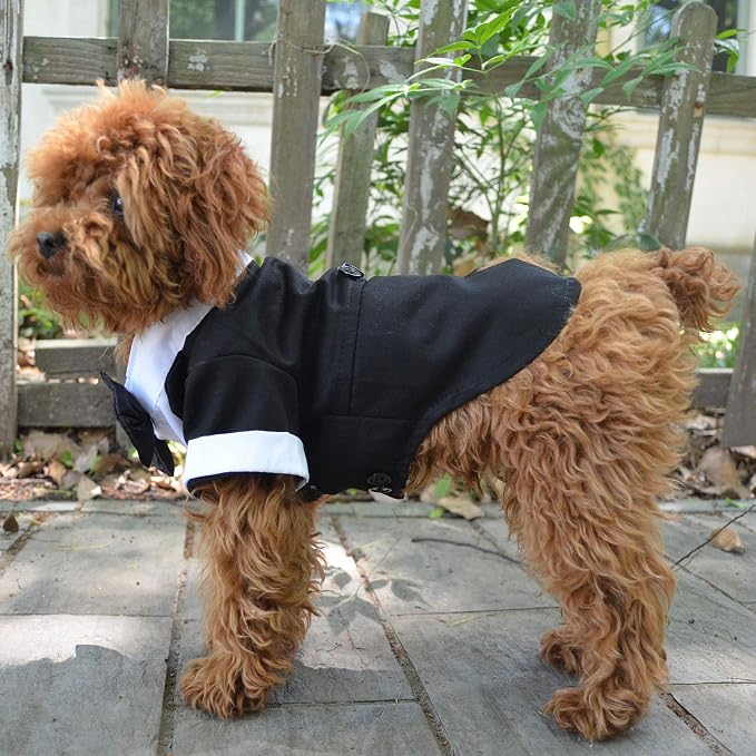 Lovelonglong Pet Costume Dog Suit Formal Tuxedo with Black Bow Tie for Large Dogs Alaska Golden Retriever Black L-XL+