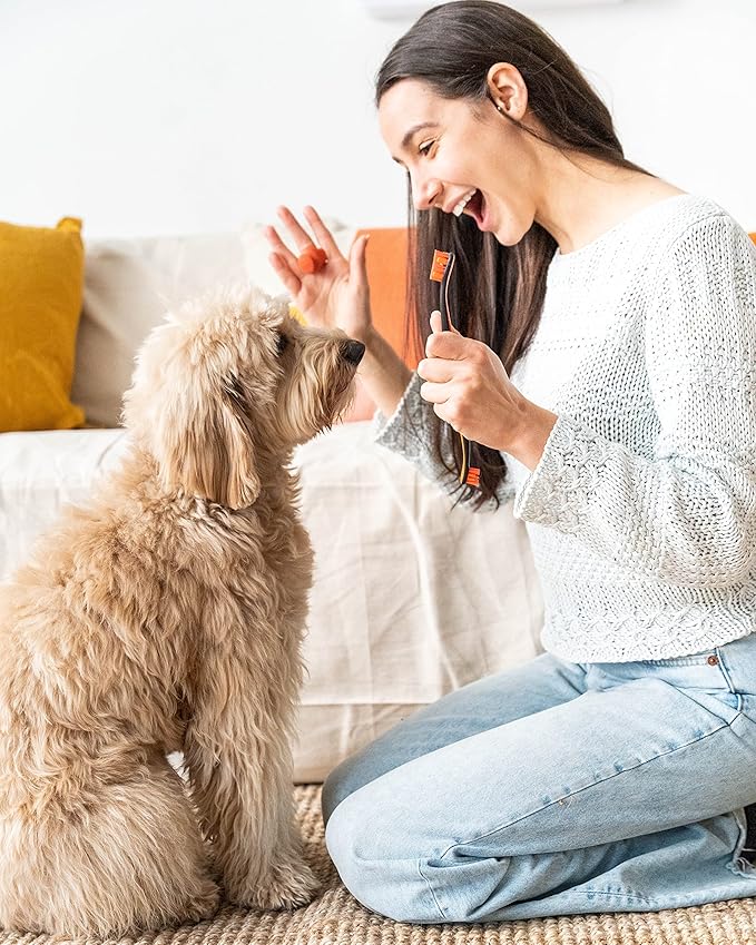 Paw Ready Doggy Breath to Doggy Fresh Dog Dental Care Kit Includes Enzymatic Toothpaste, Dual Brush Head Toothbrush with Angled Bristles and Blue Bite Block to Gently Keep Pets Jaw Open (Blue, Small)