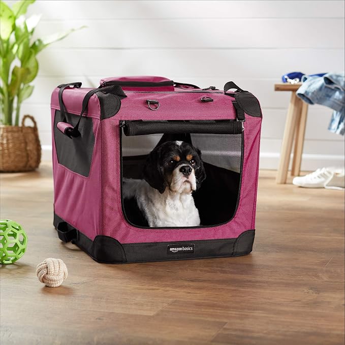 Amazon Basics Folding Portable Soft Pet Dog Crate Carrier Kennel, 26 x 18 x 18 inches, Red