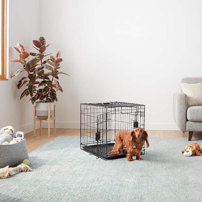 Amazon Basics Portable, Foldable Metal Wire Dog Crate with Removable Tray, Double Door, Divider Panel, 24" x 18" x 20", Black