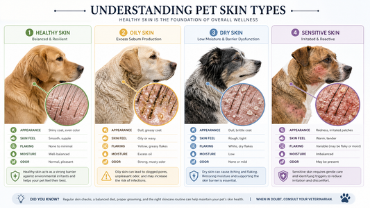 "Pet Skin Health 101: How the Right Products Make All the Difference