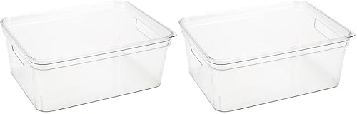 Simplify Medium, Super Clear Lidded Storage Bin (Pack of 2)